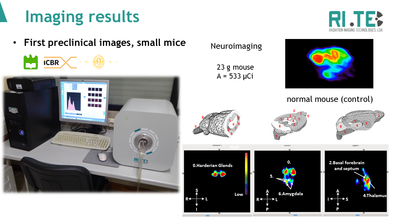 results_mice_brain